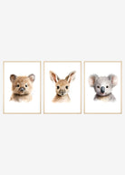 3 australske dyr plakater med ramme