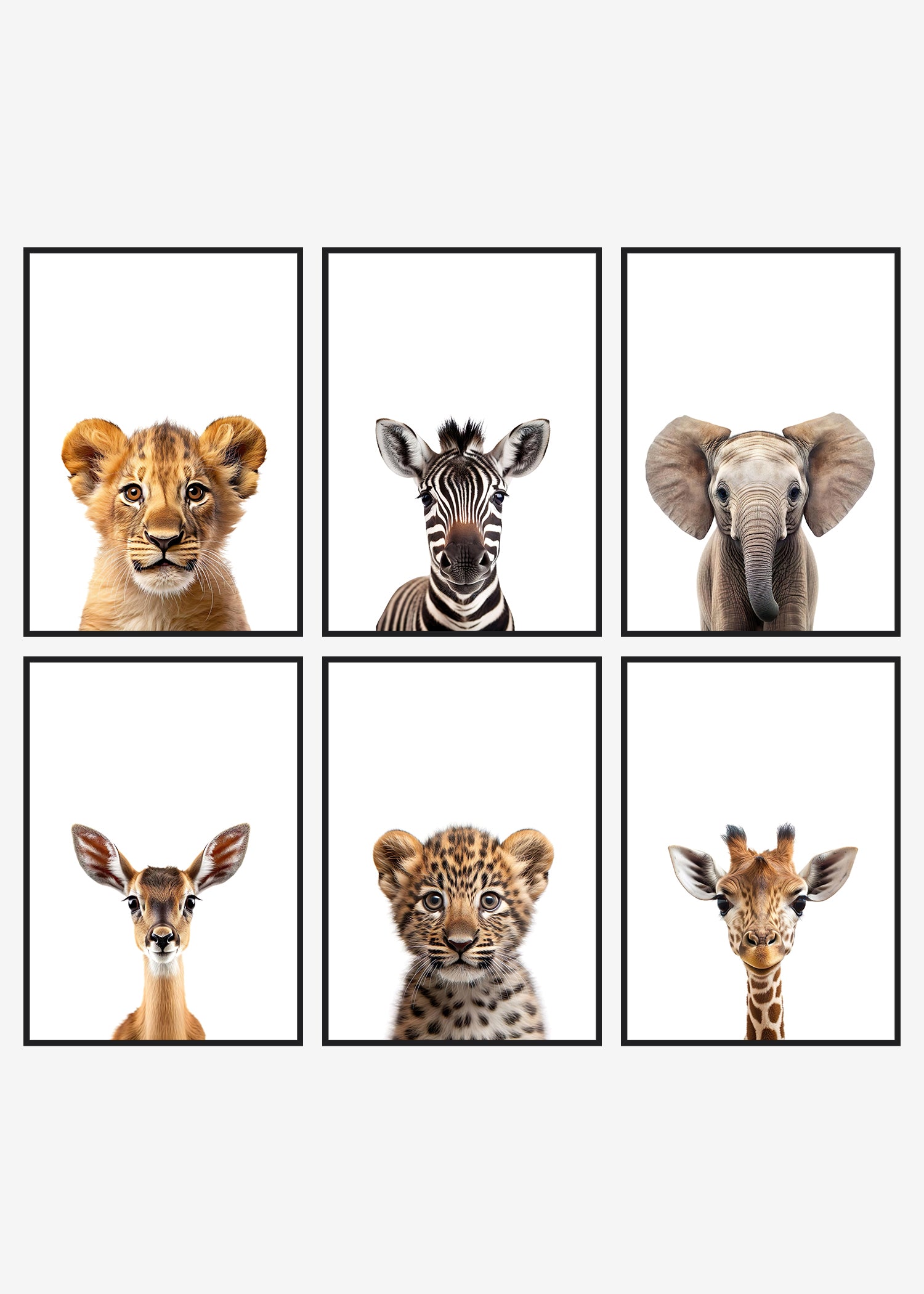 6 safari plakater