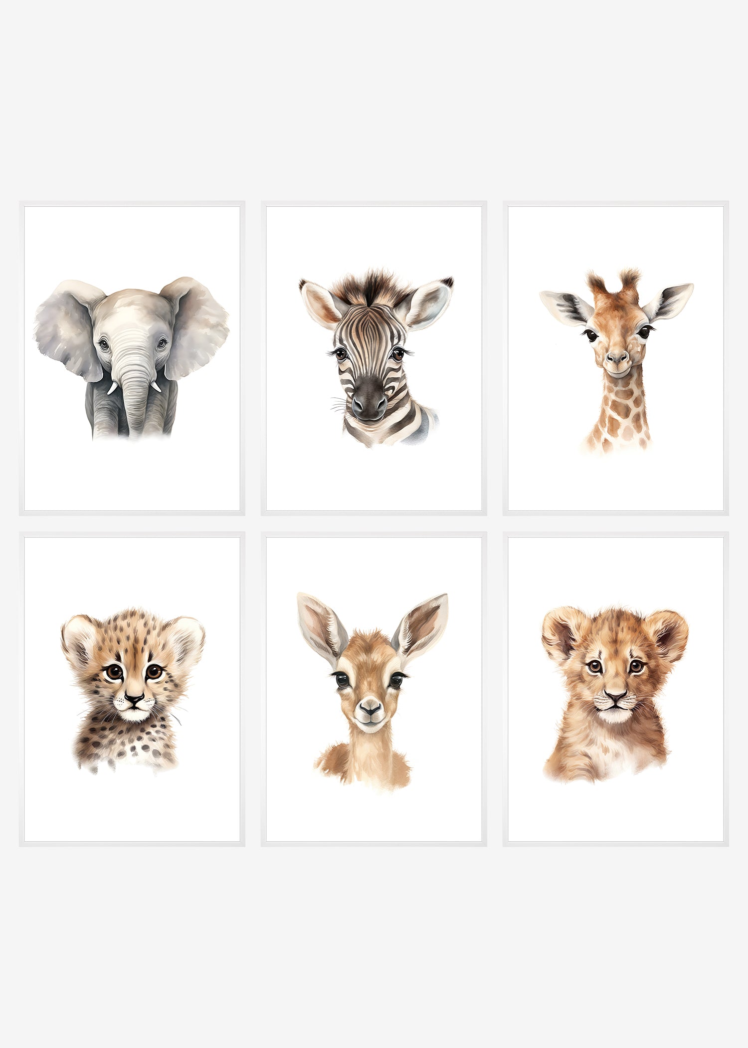 6 søde safaridyr plakater