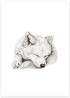 polarulv plakat