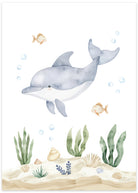delfin plakat