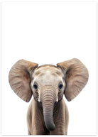 elefant plakat