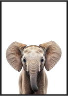 elefant poster