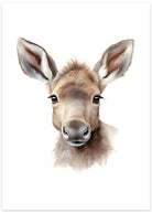 elg plakat