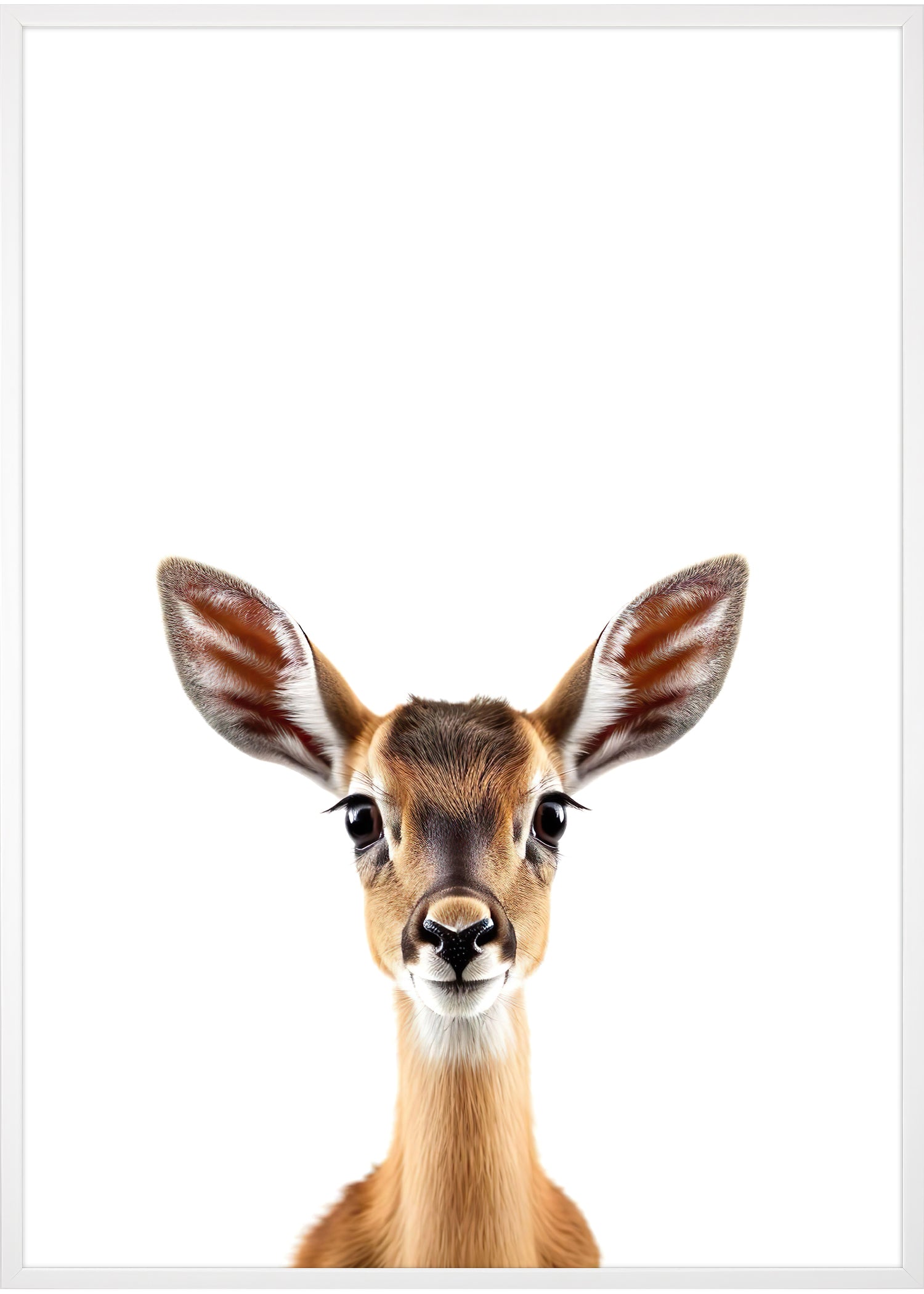 gazelle poster