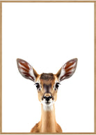 gazelleunge plakat