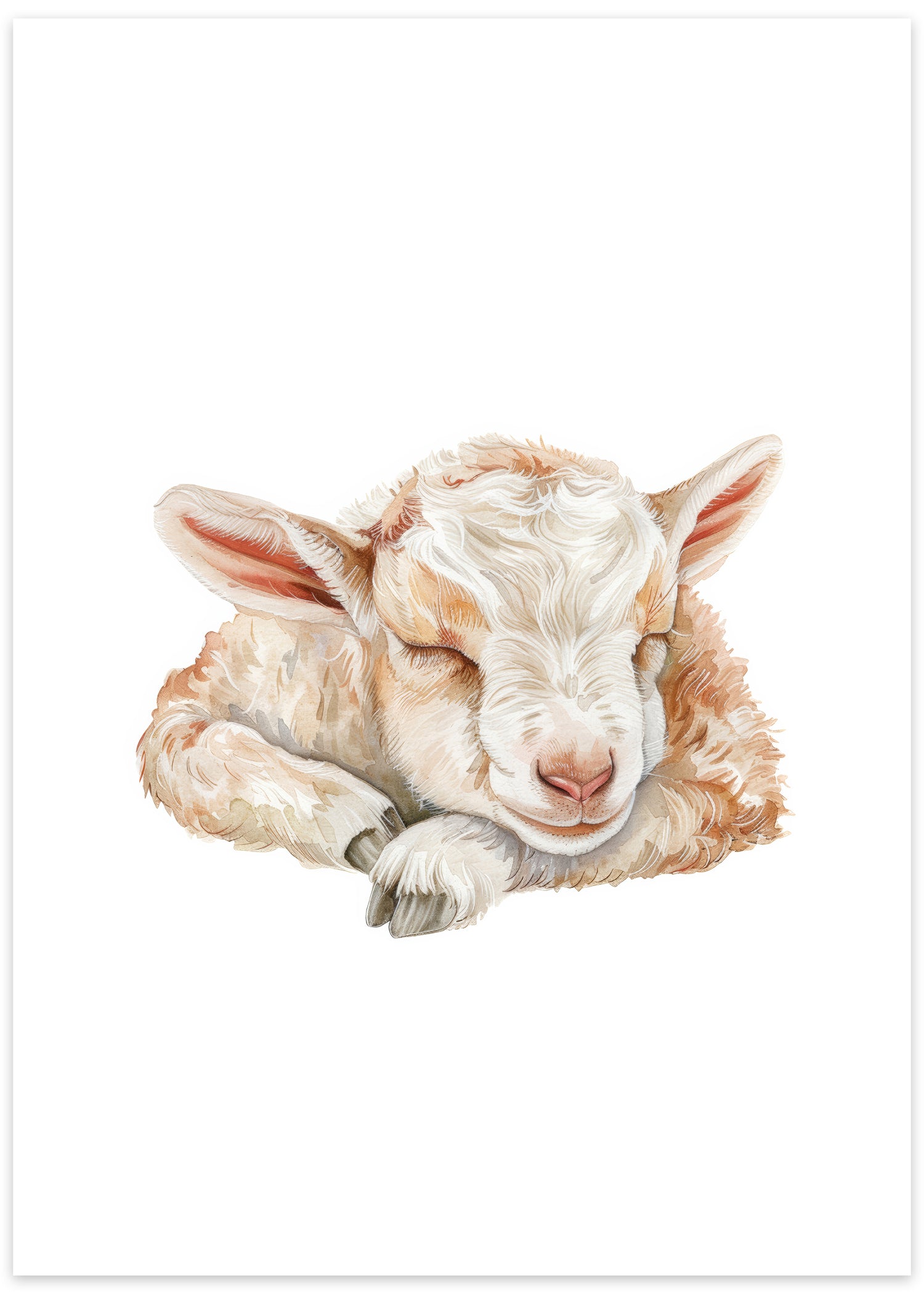 gedekid plakat