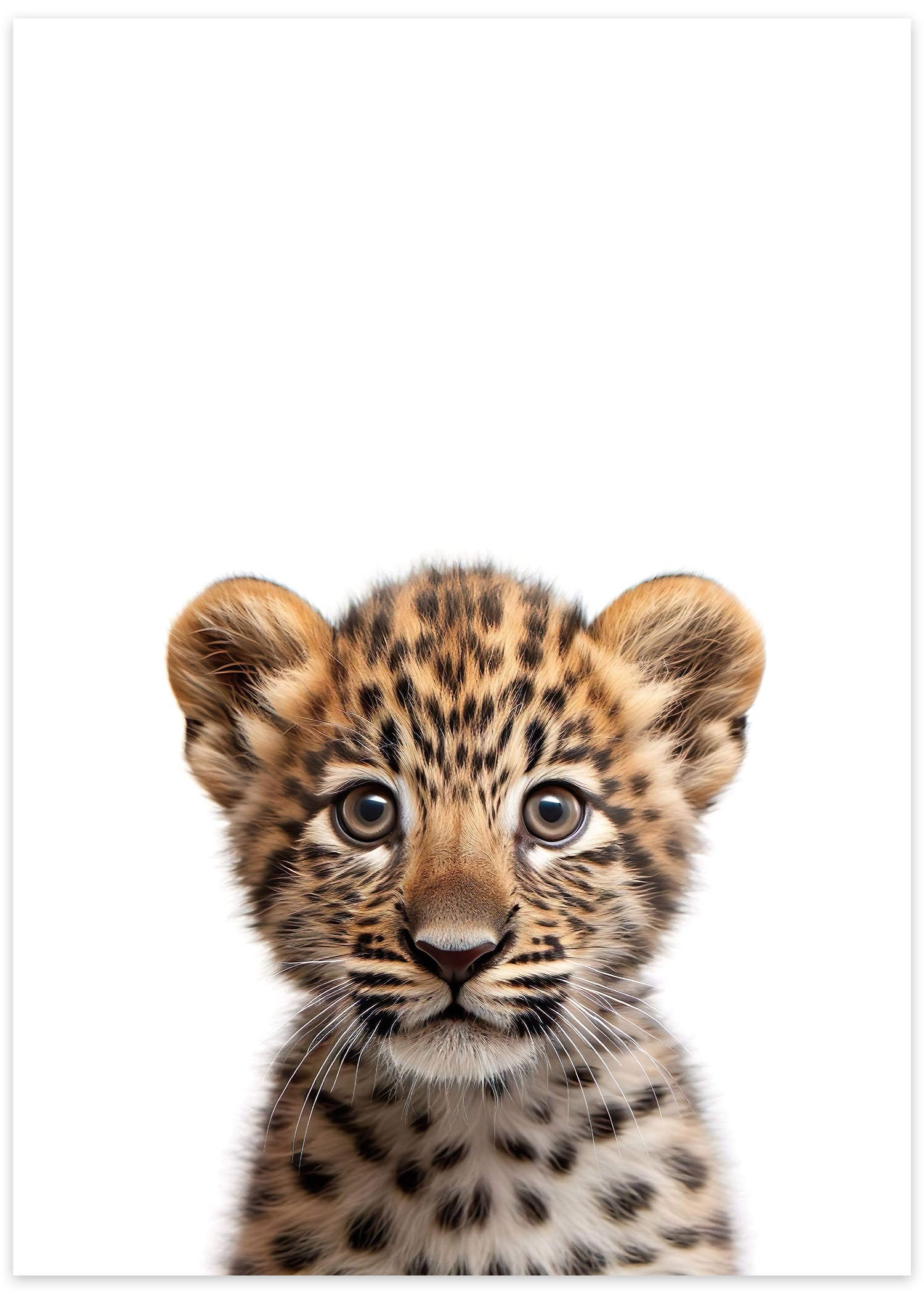 gepard plakat