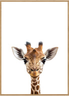 girafunge plakat