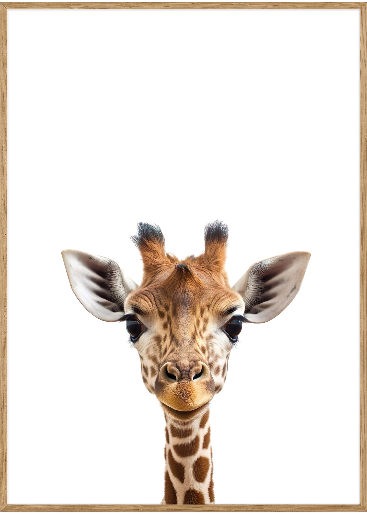 girafunge plakat