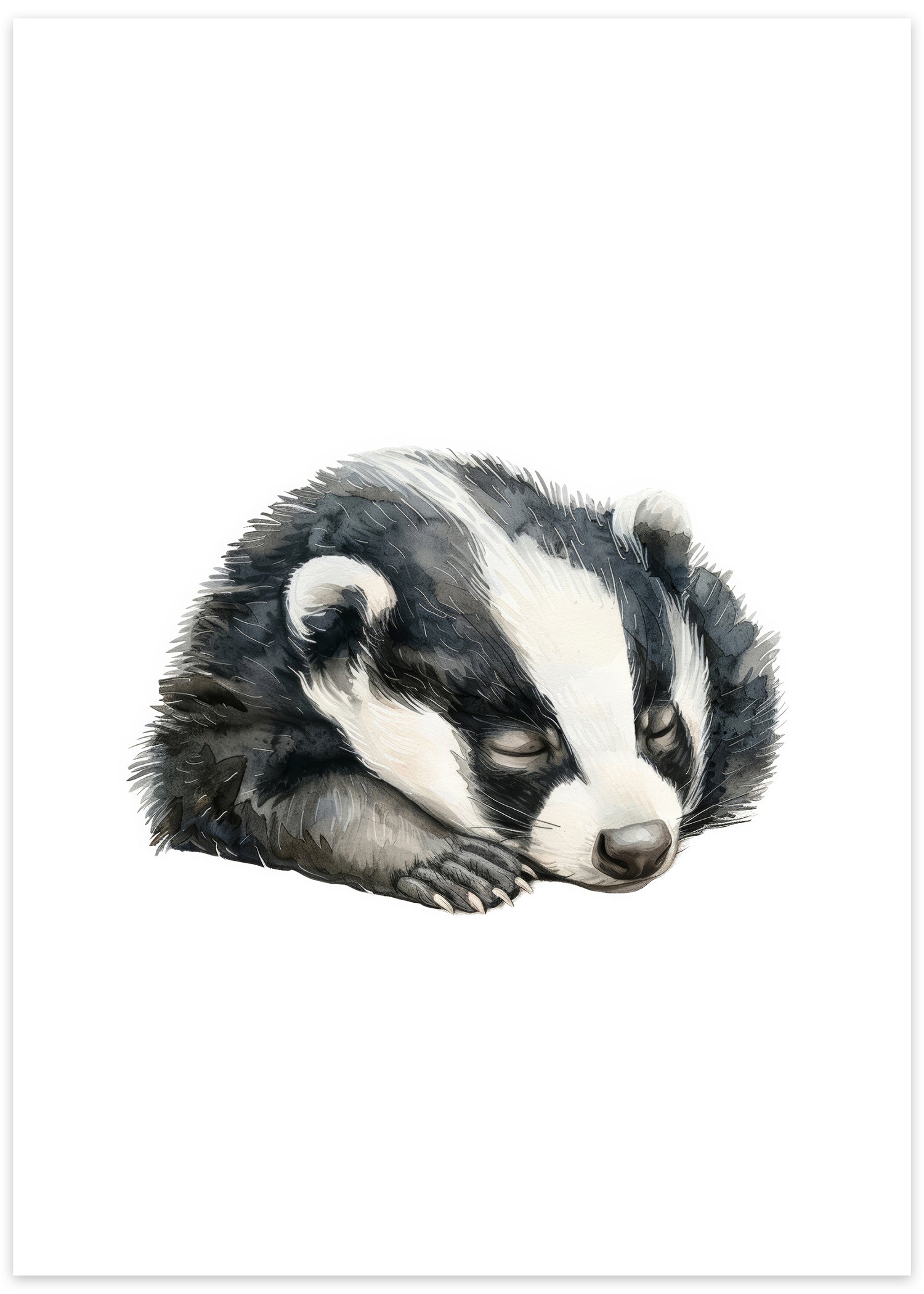 grævling plakat