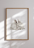 all-groups hare plakat