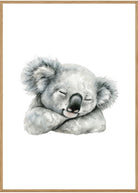 koala plakat egeramme