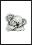 koala plakat