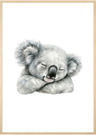 koalaplakat