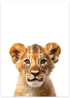 løve plakat