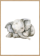 plakat elefant