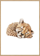 plakat gepard
