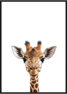 plakat giraf