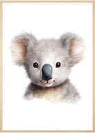 plakat koala
