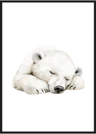 plakat med dyr