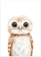 plakat med dyr