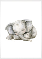 plakat med elefant