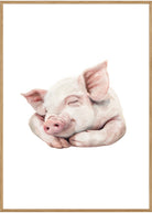 plakat med en gris