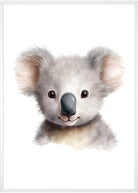 plakat med koala