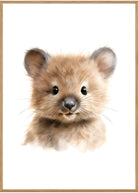 plakat med quokka