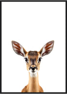 plakat med safaridyr