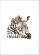 plakat med zebra