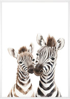 plakat med zebraer