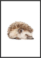 plakat pindsvin