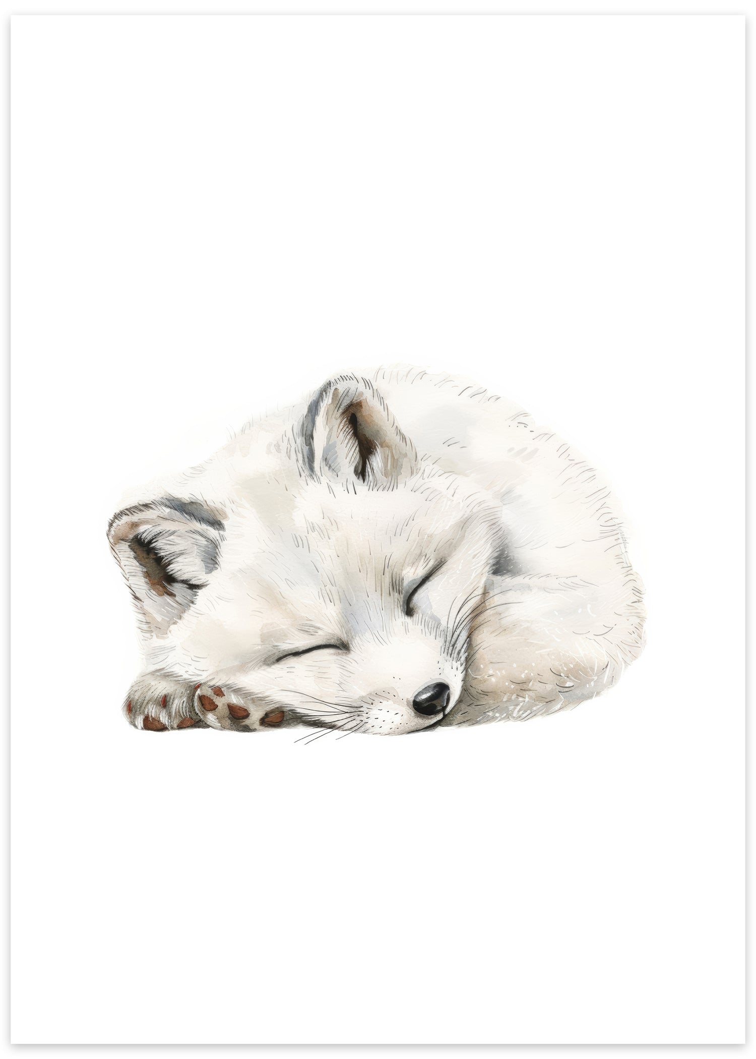 plakat sød polarræv