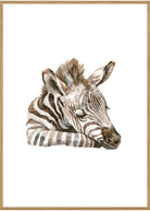 plakat zebra