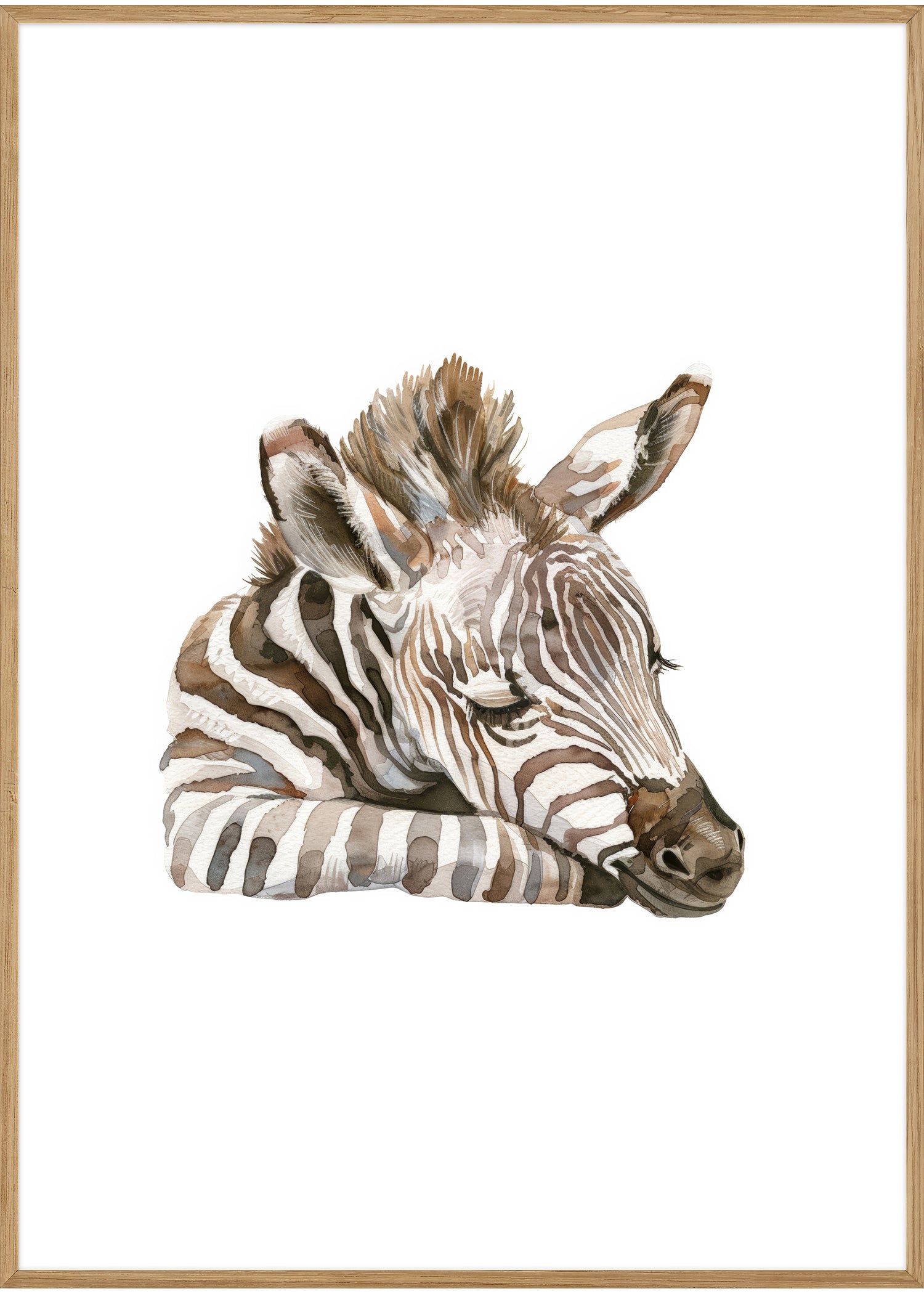 plakat zebra