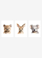 plakater med australske dyr