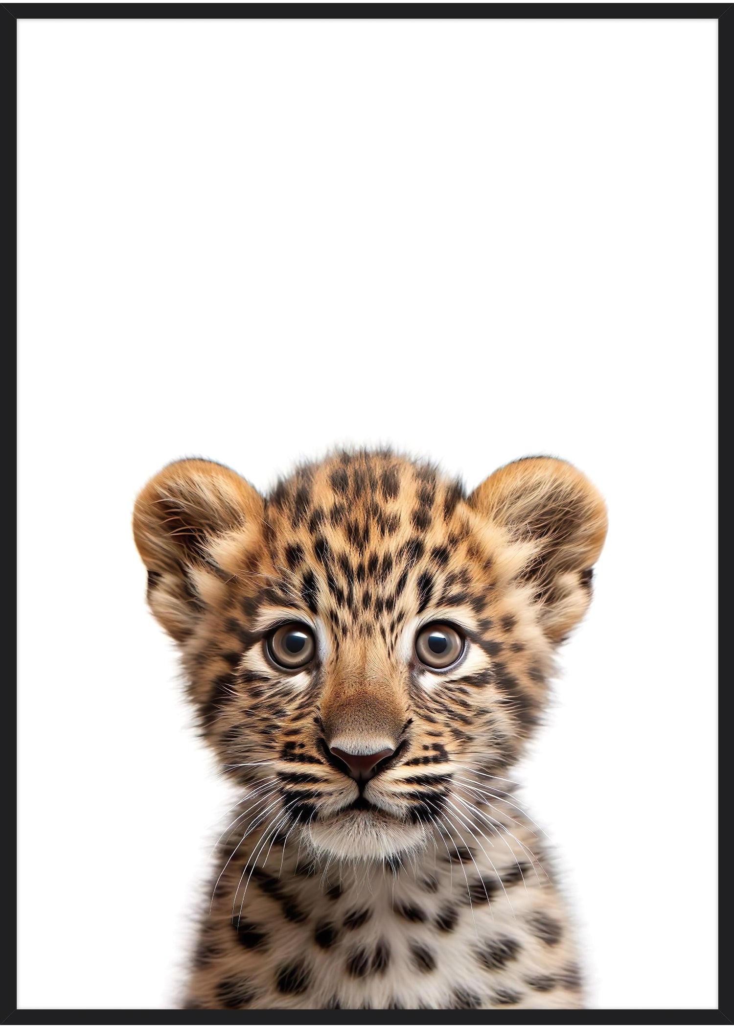 poster gepard