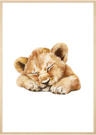 safari dyr plakat