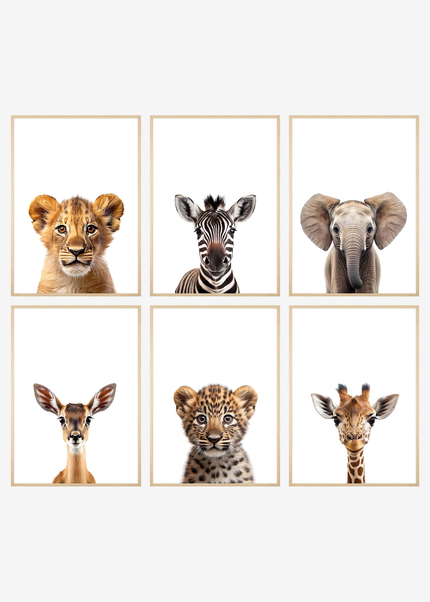 safaridyr plakater lyse rammer