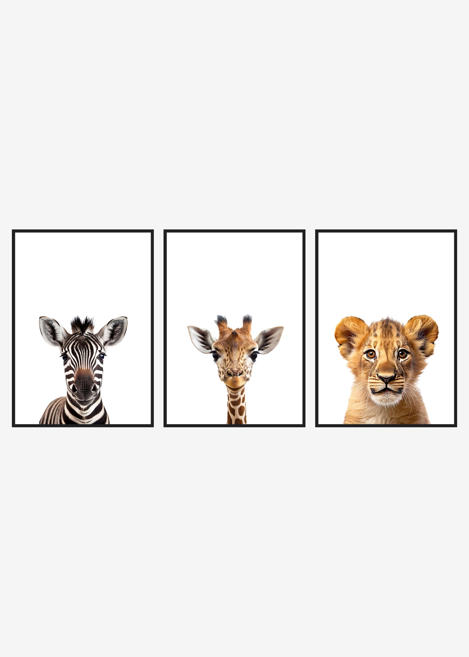 safaridyr plakater sort ramme