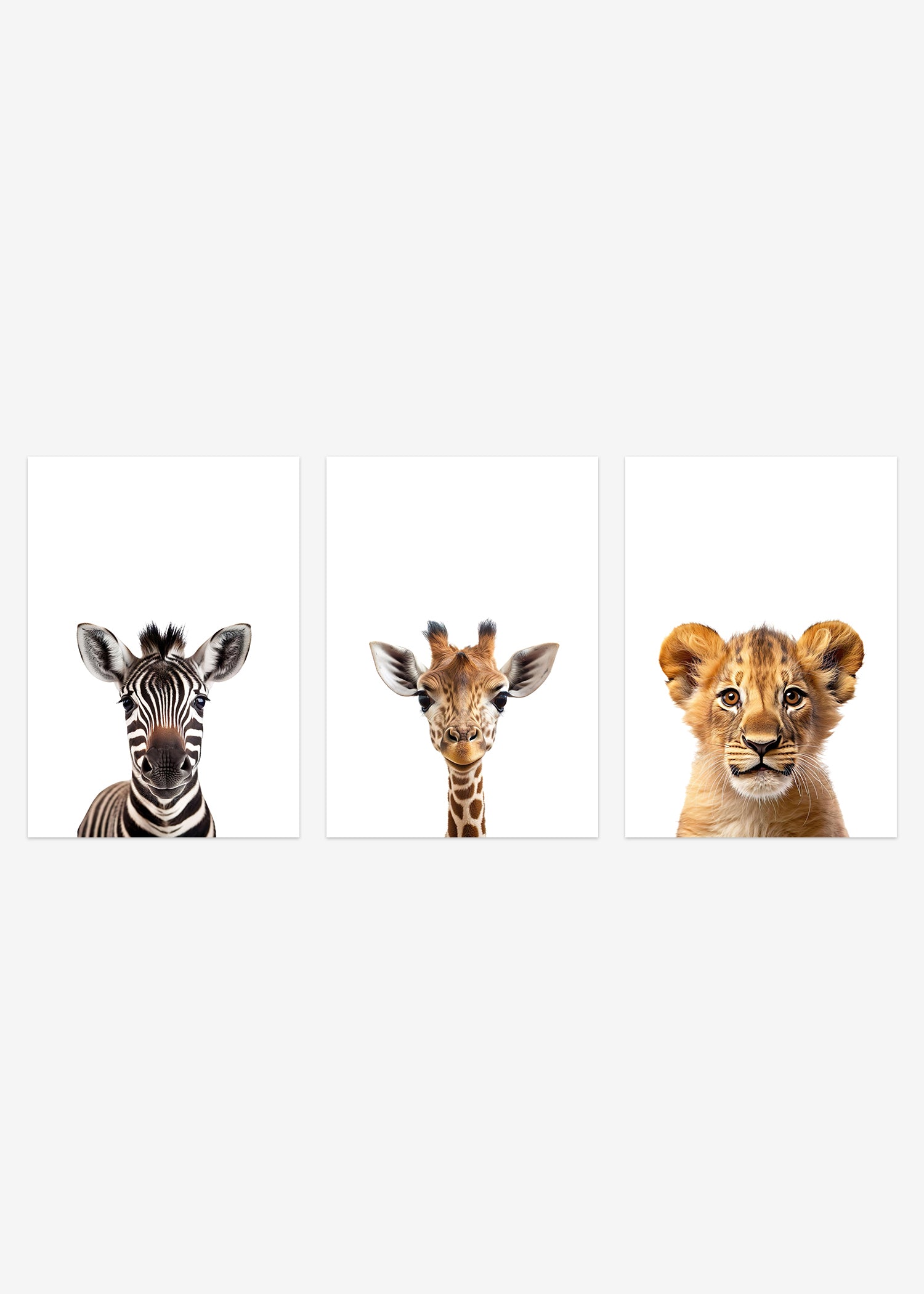 safaridyr plakater