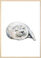 sæl poster