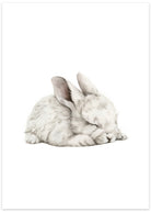 snehare plakat