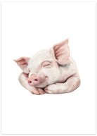 sød gris plakat