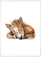 sød pony plakat