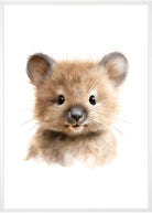 sød quokka plakat med ramme