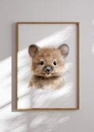 all-groups sød quokka plakat