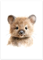 sød quokka plakat